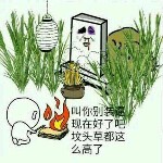 阳hsg的头像