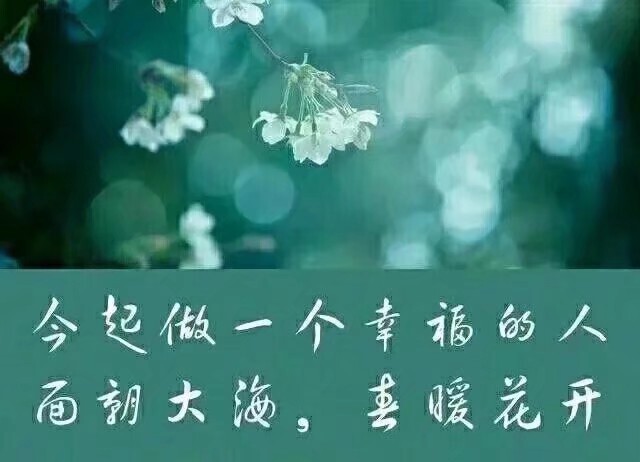 感動不了的人就放手吧的主播照片