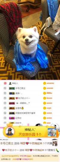 嘚瑟💗主播照片