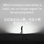 特工别闹