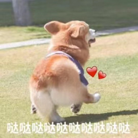 有钱任性买辣条~~~主播照片