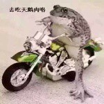 癞蛤蟆吃天鹅肉的来了