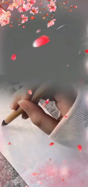 昝翅高飞，大昝宏图。