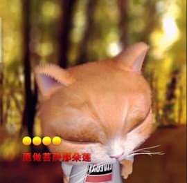 萌萌哒猎手主播照片