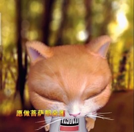 萌萌哒猎手主播照片