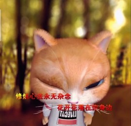 萌萌哒猎手主播照片