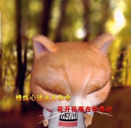 萌萌哒猎手主播照片