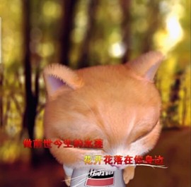 萌萌哒猎手主播照片
