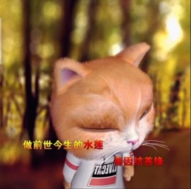 萌萌哒猎手主播照片