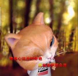 萌萌哒猎手主播照片