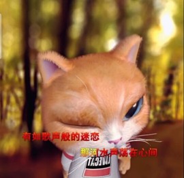 萌萌哒猎手主播照片