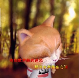 萌萌哒猎手主播照片