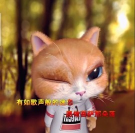 萌萌哒猎手主播照片