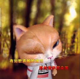 萌萌哒猎手主播照片