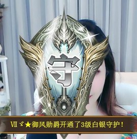 🎵家中有事休主播照片