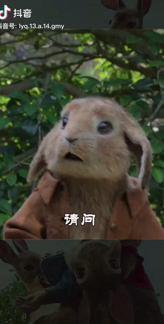 赚钱/淡定就是便秘难