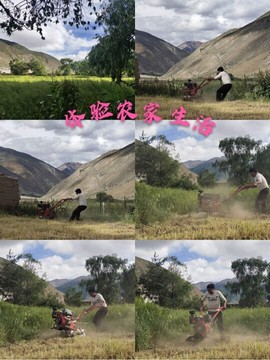 乐二娃祝大家五一快乐主播照片