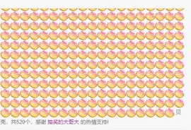 挂号费规划局主播照片