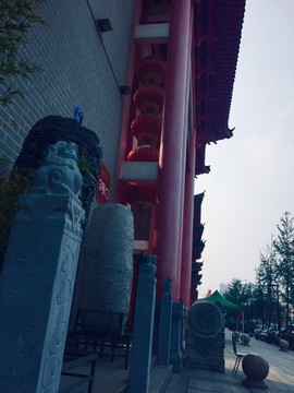 茶茶幸运星在线啦的图片