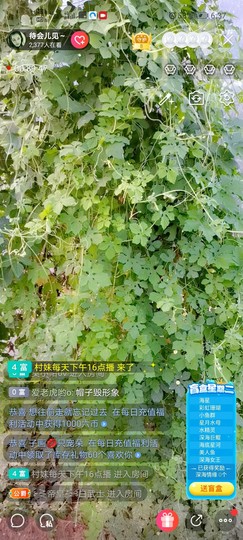 福建迪丽热巴主播照片