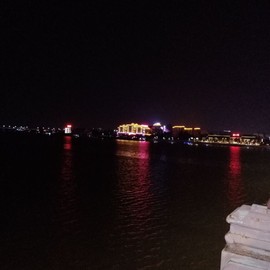 🆔白头翁主播照片