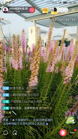 千容女郎主播照片