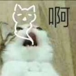 💞浪人奇葩💞