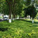 好听的歌唱起来的头像