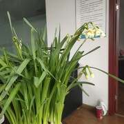 我是江苏