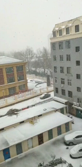 这雪下的