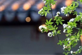 დ释怀დ主播照片