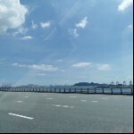 意中人ll