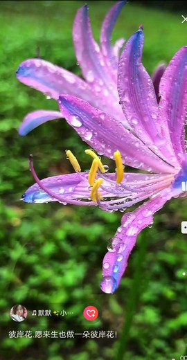 ♬默默✨小蛮宝☞🌜主播照片