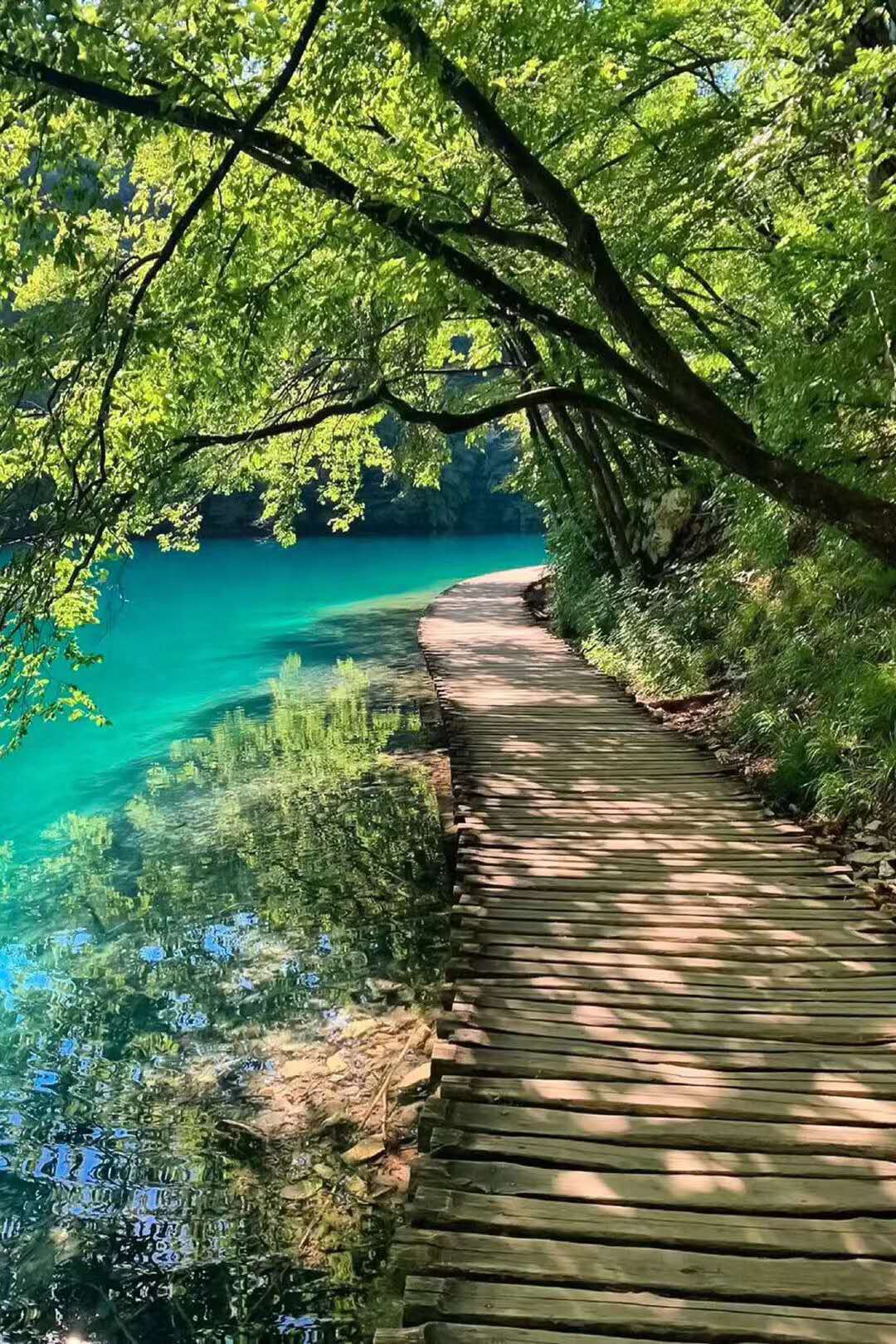 锅奶一挑财主播照片