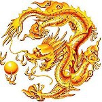 ╭游龍╯的头像