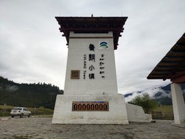 乐二娃祝大家五一快乐主播照片