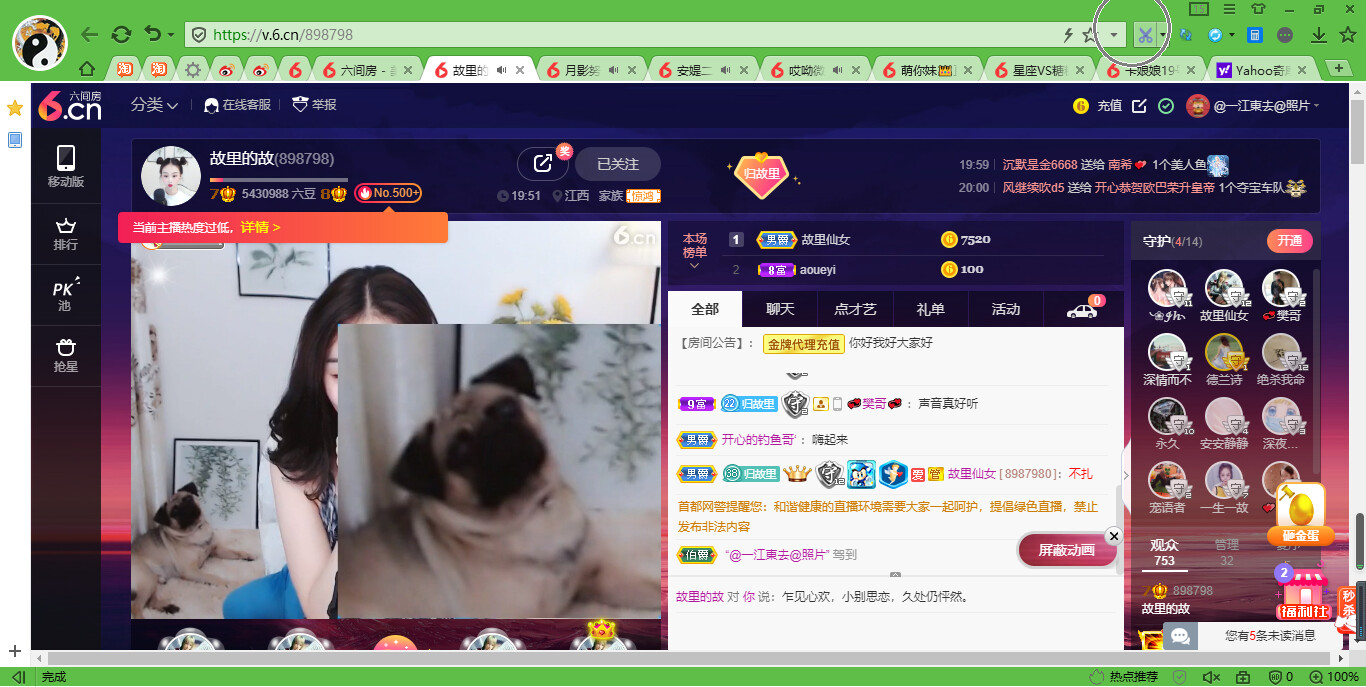 @东厂金龙@照片的图片
