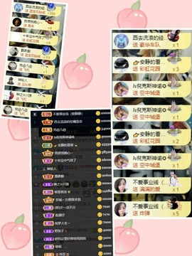 皮猴不播了主播照片