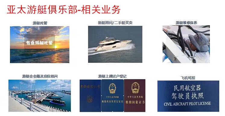 宠语者主播照片