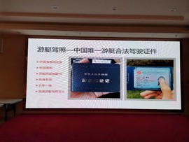 宠语者主播照片