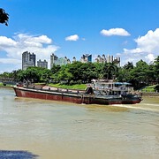 乘风破浪向前冲击的头像