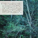 wj辉v海报