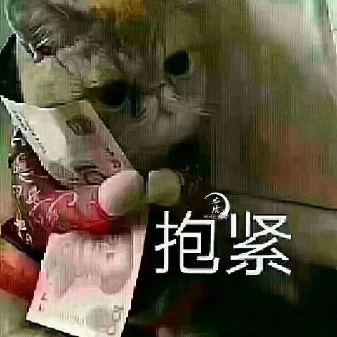 ，一生一世，一双人。的主播照片