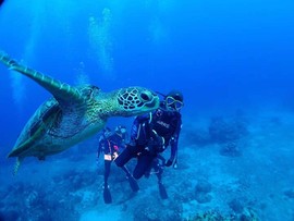 龙腾四海龙飞主播照片