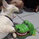 522927