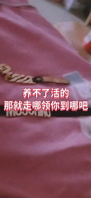 可可奶奶