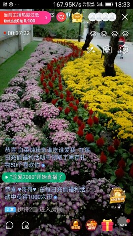 千容女郎主播照片