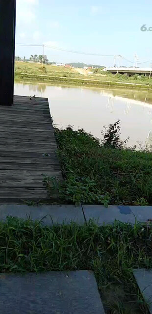人生就两个字得劲