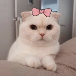 ╰❥谁是我的谁゛