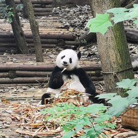 给木欧喔主播照片